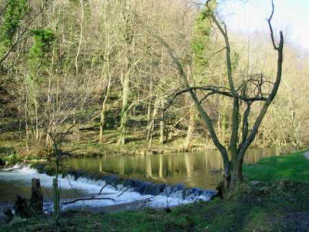View -- River